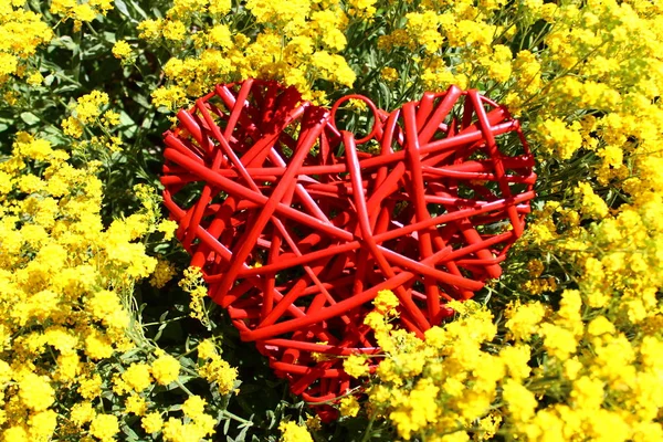 Corazón Rojo Flores Primavera —  Fotos de Stock