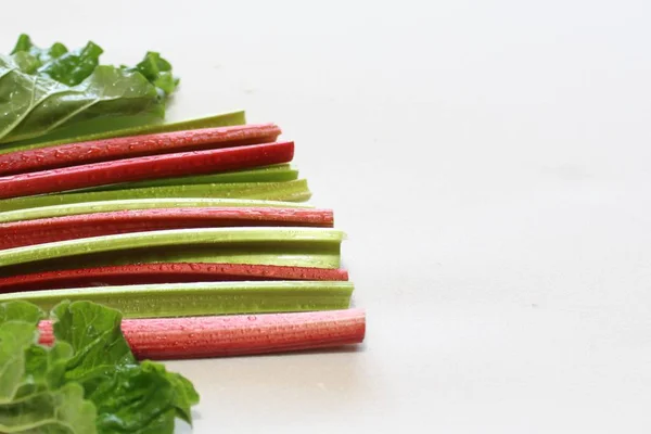 Colorful Delicious Rhubarb Stems — Stock Photo, Image