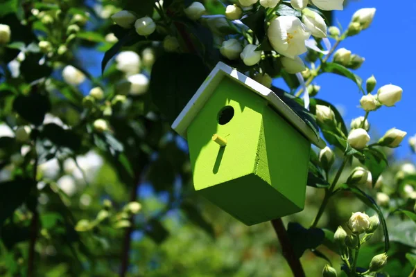 Zielony Birdhouse Jaśminu — Zdjęcie stockowe