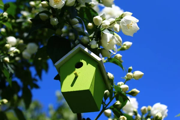 Green Birdhouse Jasmin — Stockfoto