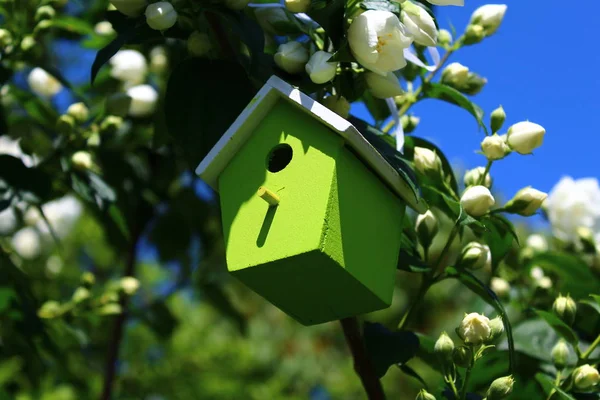 ジャスミンの緑の鳥小屋 — ストック写真