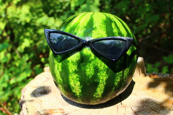 Melon Sunglasses Forest — Stock Photo, Image