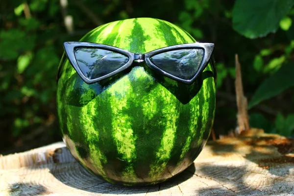 Melon Sunglasses Forest — Stock Photo, Image