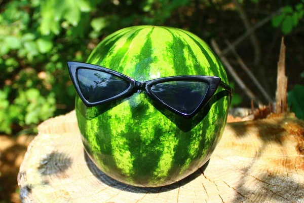 Melon Sunglasses — Stock Photo, Image