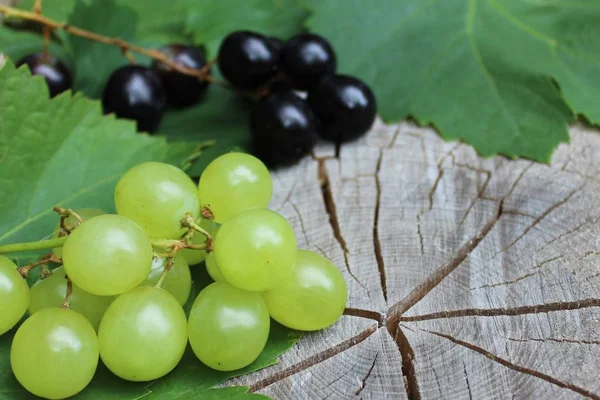 Grapes Wooden Ground — Stock Photo, Image