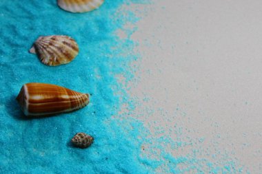 Mavi kumsalda bir sürü kabuk