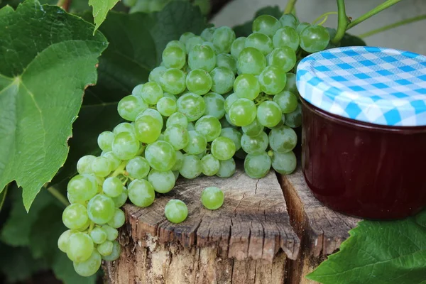 Grapes Wine Jelly — Stock Photo, Image