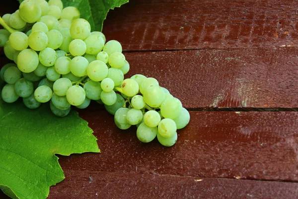Grapes Brown Boards — Stock Photo, Image