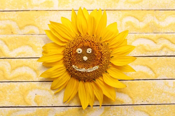 Sonnenblume Mit Gesicht Auf Weißen Brettern Mit Gelbem Sand — Stockfoto