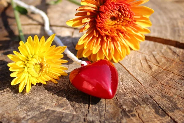 a red heart and flowers on wooden ground