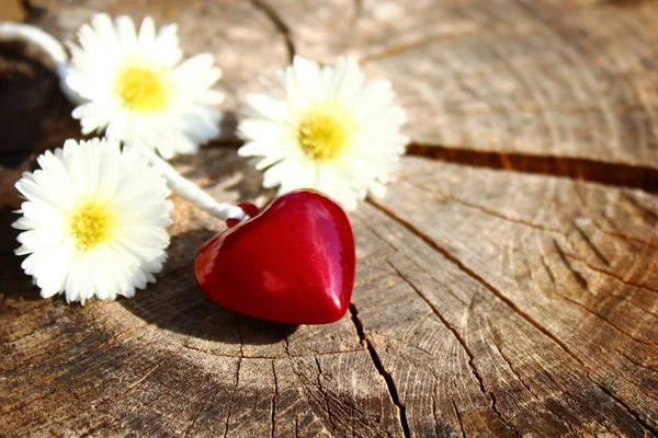 a red heart and flowers on wooden ground
