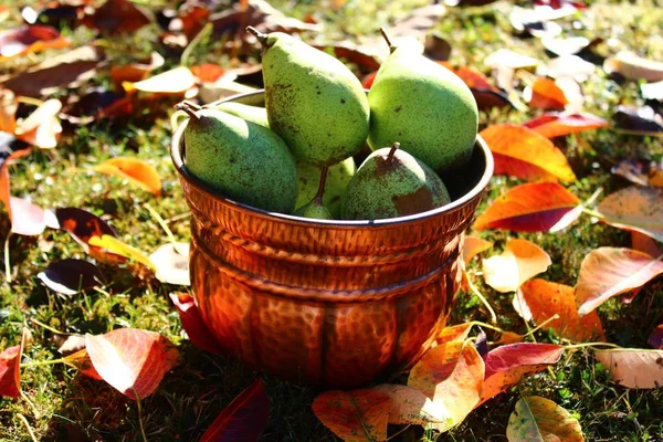 Fundo Verde Interessante Com Uma Estrutura — Fotografia de Stock