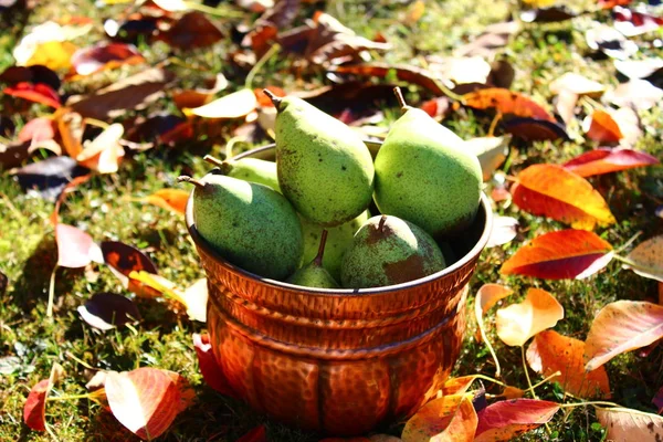 Fundo Verde Interessante Com Uma Estrutura — Fotografia de Stock