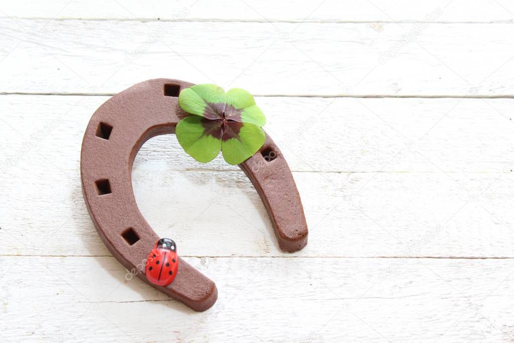 the picture shows a horseshoe and a ladybird