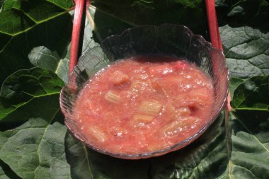 bir ravent yaprak üzerinde lezzetli ravent komposto