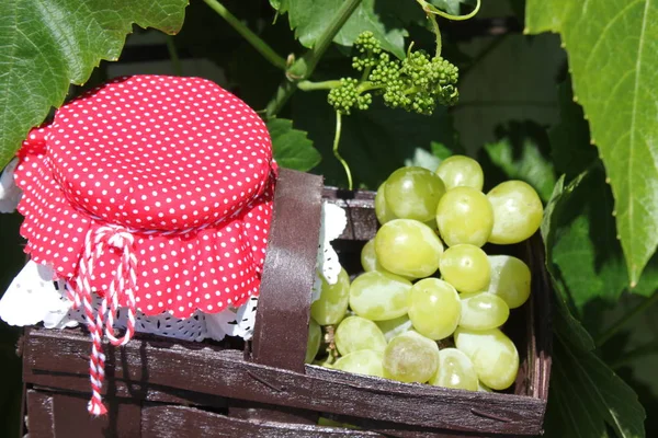 Grape Jelly Unripe Grapes — Stock Photo, Image