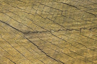 eski kahverengi ahşap ile arka plan 