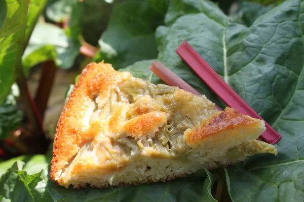 rhubarb cake on a rhubarb leaf