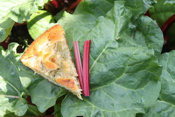 rhubarb cake on a rhubarb leaf