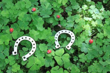 yonca üzerinde ahşap ladybirds ve ahşap at nalı