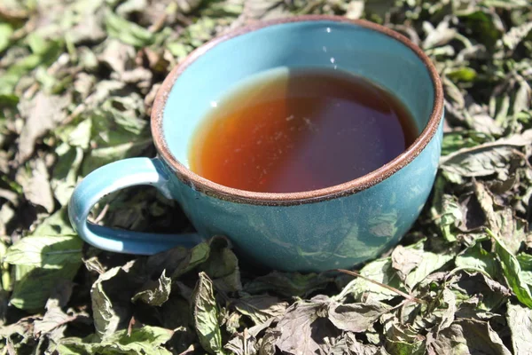 cup of peppermint tea in dried peppermint  leaves