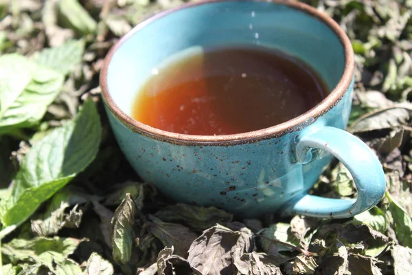 Filiżanka Herbaty Mięty Mięty Suszonych Liści Mięty — Zdjęcie stockowe
