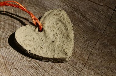 ormanda bir ağaç gövdesi üzerinde kil kalp