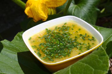kabak yaprağı üzerinde kabak çorbası