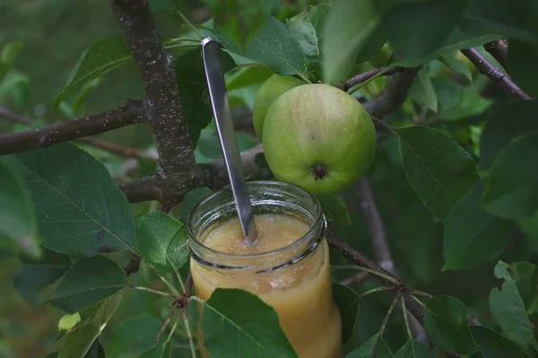 apple sauce on an apple tree