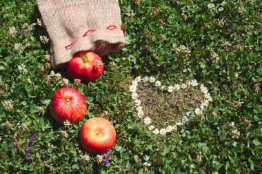 çayır ve kalp kırmızı elma 