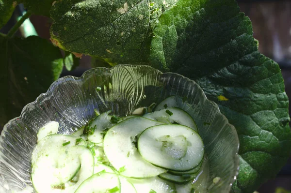 cucumber salad and a cucumber leaf