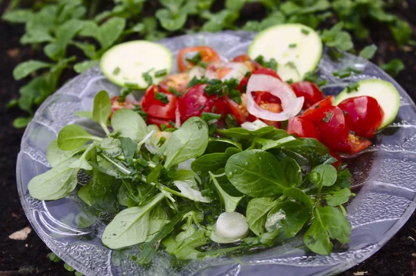 Salada Com Alface Cordeiro Fatias Tomate — Fotografia de Stock