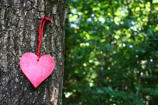 Cuore Rosso Albero Nella Foresta — Foto Stock