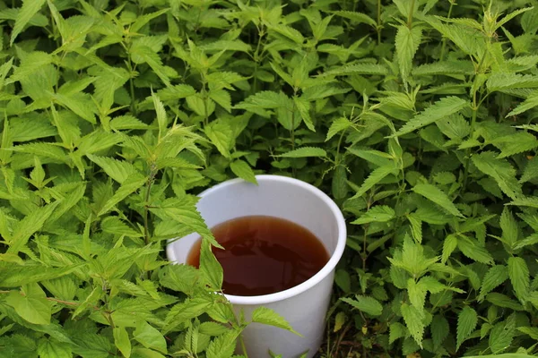 Isırgan otu tarlasında ısırgan otu sokmaktan gelen sıvı gübre.