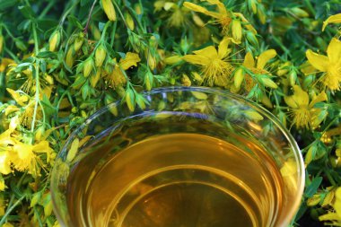 Bitki çayı eskimiş bir ağaç gövdesinde