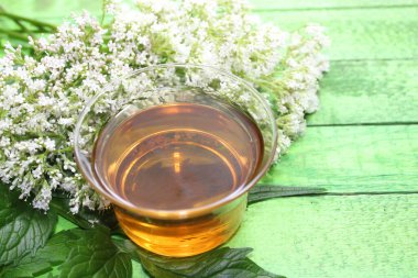 Yeşil tahtada kediotu çayı