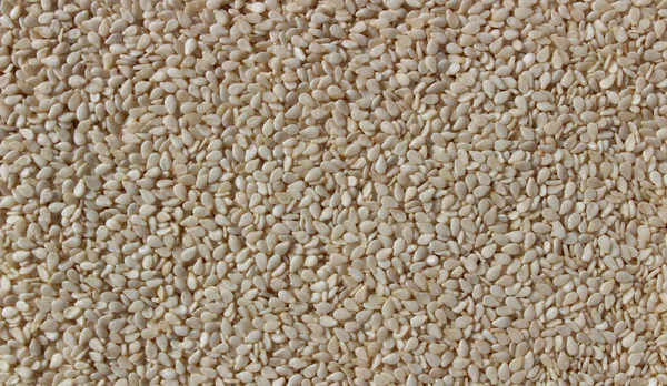 Light Background Sesame — Stock Photo, Image