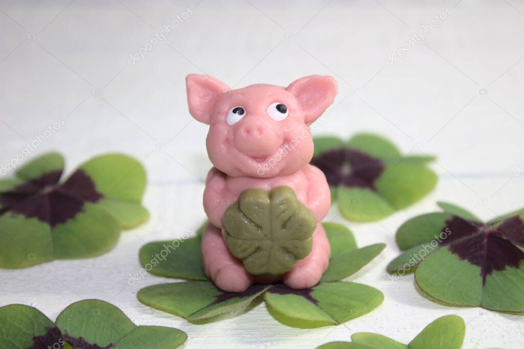 marzipan pig in lucky clover