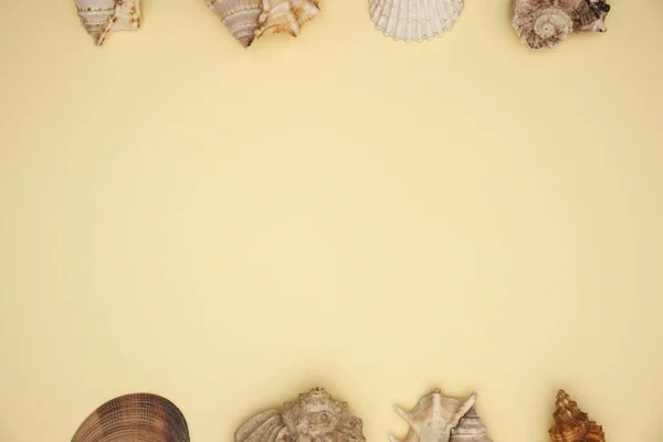 Seashells Nas Bordas Fundo Amarelo — Fotografia de Stock