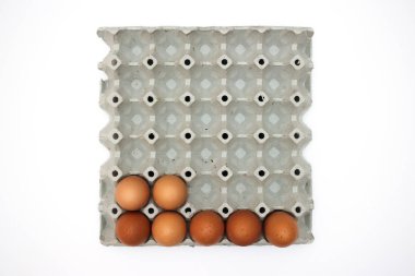 taze yumurta karton kutu içinde