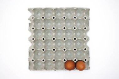 taze yumurta karton kutu içinde