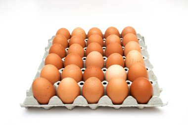 taze yumurta karton kutu içinde 