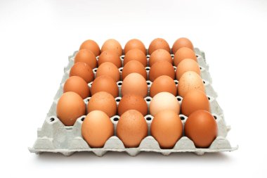 taze yumurta karton kutu içinde 