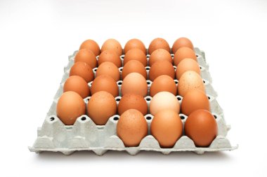 taze yumurta karton kutu içinde 