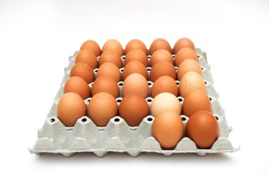 taze yumurta karton kutu içinde 