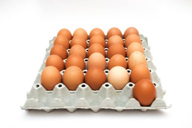 taze yumurta karton kutu içinde 