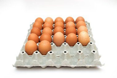 taze yumurta karton kutu içinde 