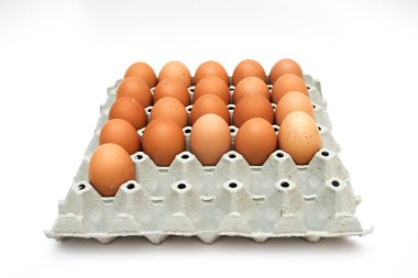 taze yumurta karton kutu içinde 