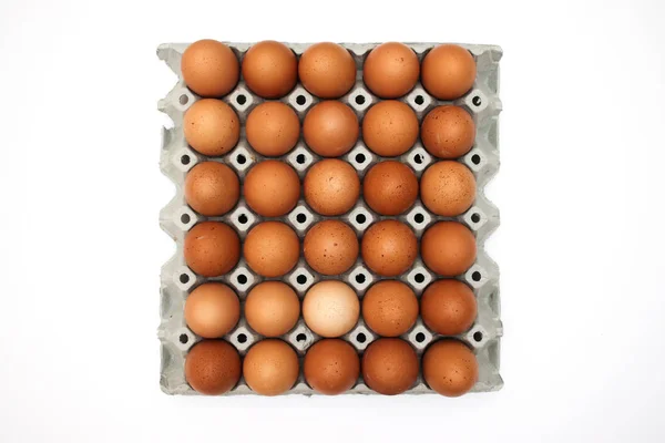 Свіжі Яйця Картонній Коробці — стокове фото