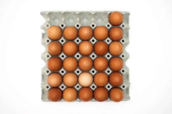 Ferske Egg Pappesker – stockfoto